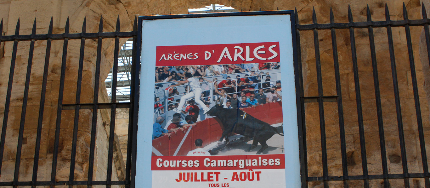 Bild von Ausflug nach Arles der Stierarena