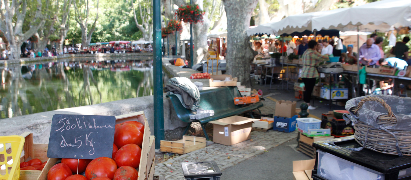 Markt am Löschteich